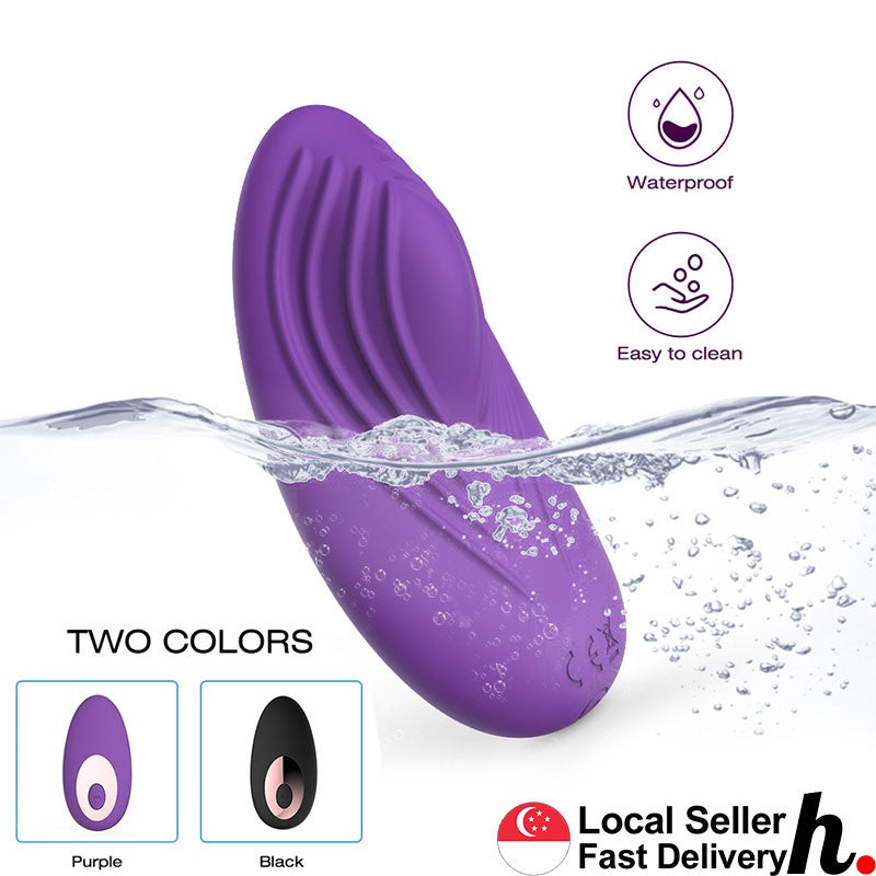 10 Speed Wireless Remote Rechargeable Wearable Stimulator Vibrator Panties Masturbator